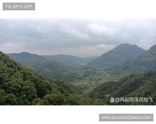 云顶山寨在哪里，揭示云顶山寨的准确位置及如何到达的详细路线指南